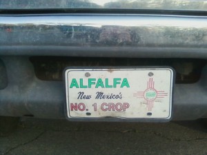 ALFALFA: New Mexico's No. 1 Crop